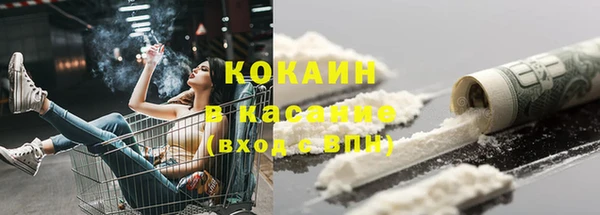сатива Баксан