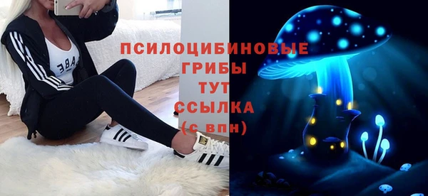 мескалин Осинники