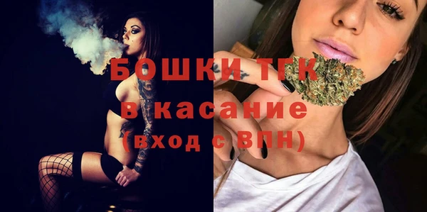 стаф Балахна