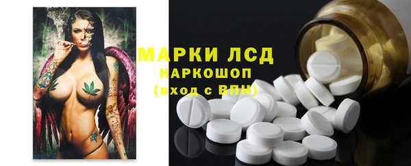 сатива Баксан