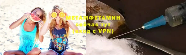 сатива Баксан