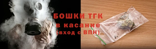 сатива Баксан