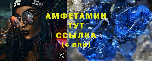 стаф Балахна