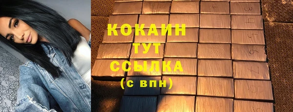 сатива Баксан