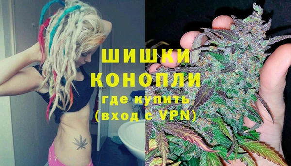 сатива Баксан