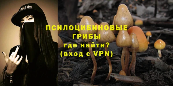 стафф Балабаново