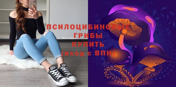 стаф Балахна